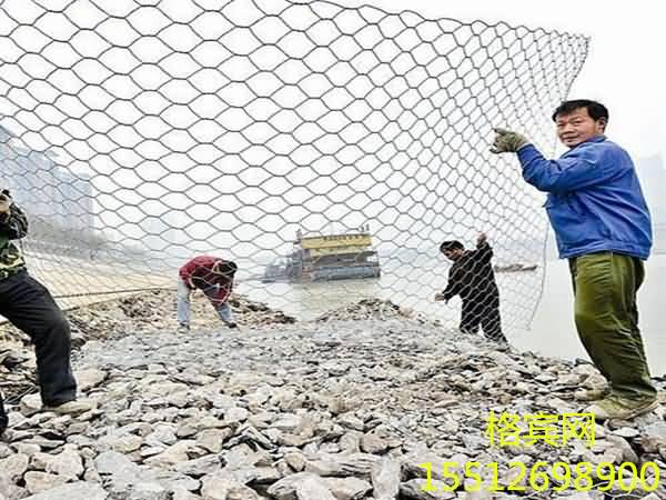 timg56515645_副本.jpg timg56515645_副本.jpg