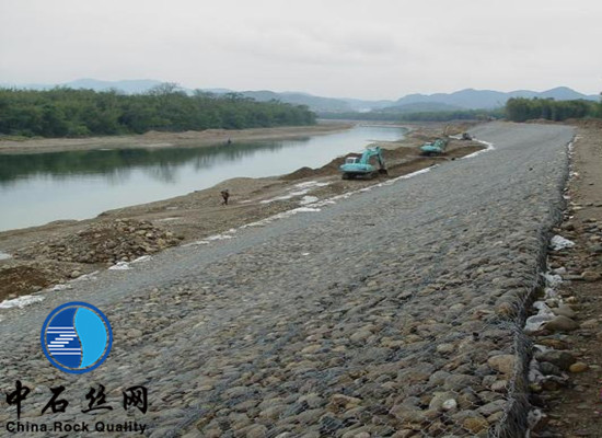雷諾護墊 雷諾護墊
